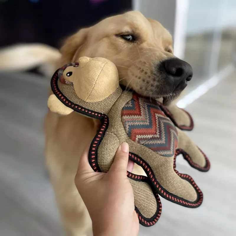 Canvas GORILLA 29x24x9cm braun